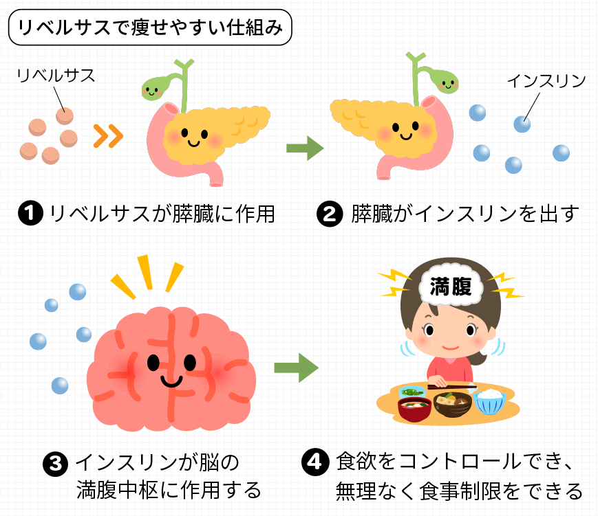 リベルサスで痩せる理由