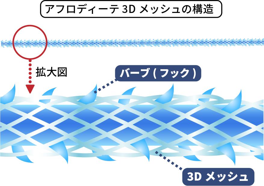 アフロディーテ3Dメッシュの構造