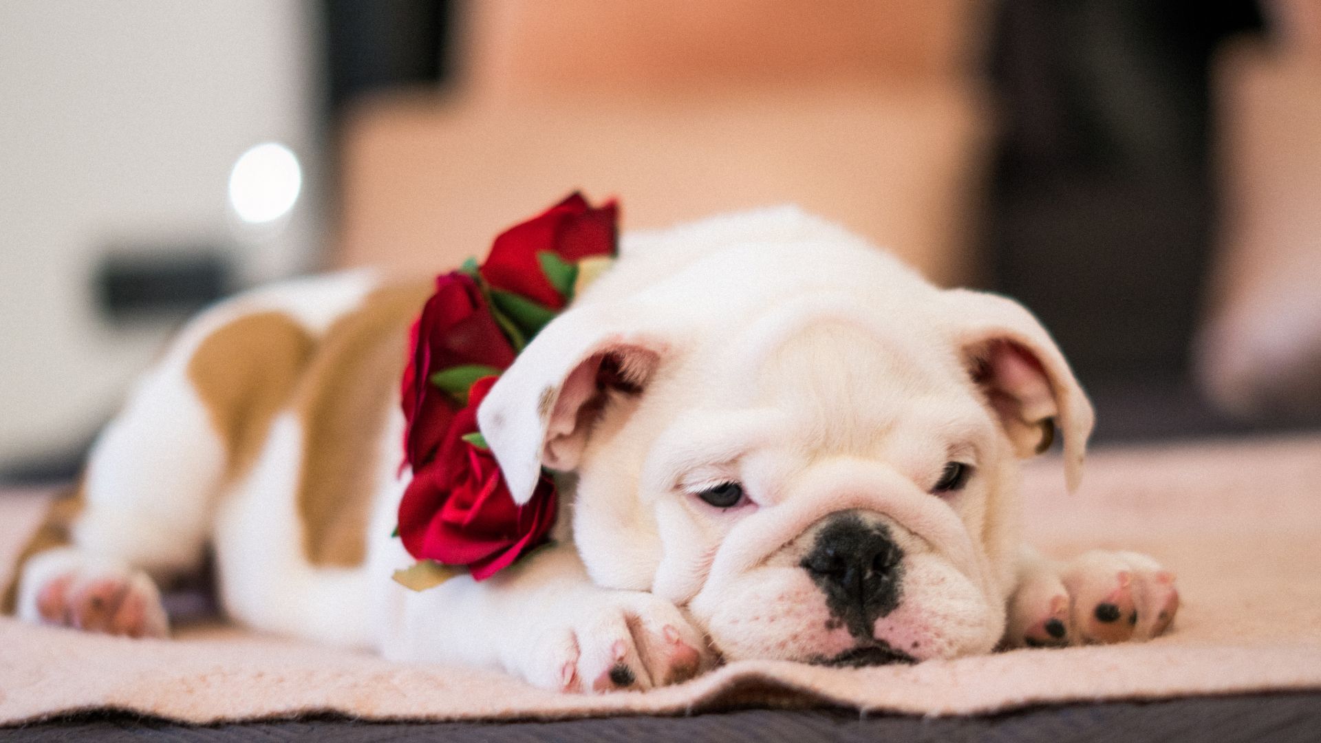 脂肪吸引注射で皮膚のたるみが生じる原因